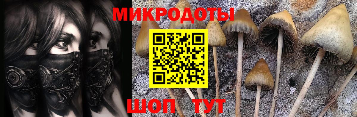 Псилоцибиновые грибы мицелий  Псилоцибиновые грибы прущие грибы  Вход с VPN  Фролово 