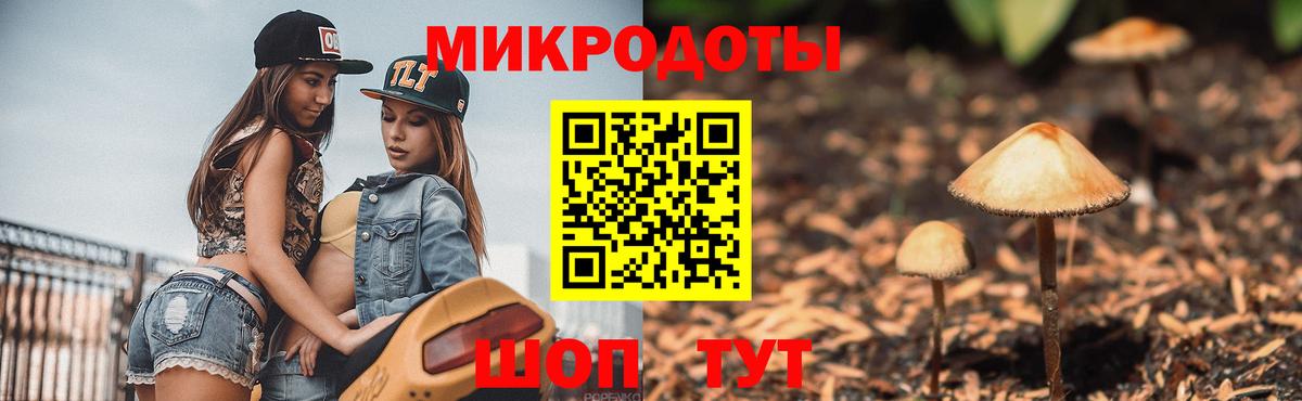 Псилоцибиновые грибы прущие грибы Фролово
